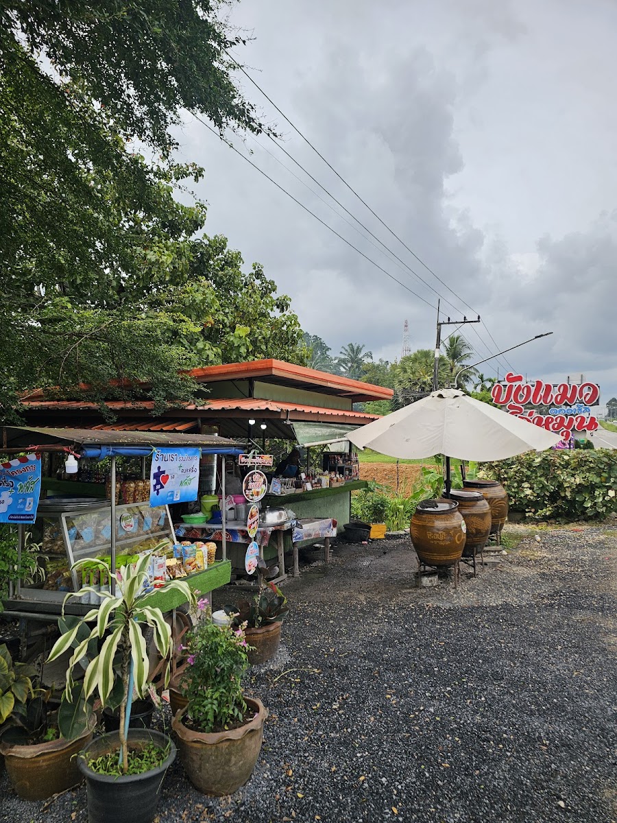 ร้านบังแมวไก่หมุน (สาขา 1) Photo 4