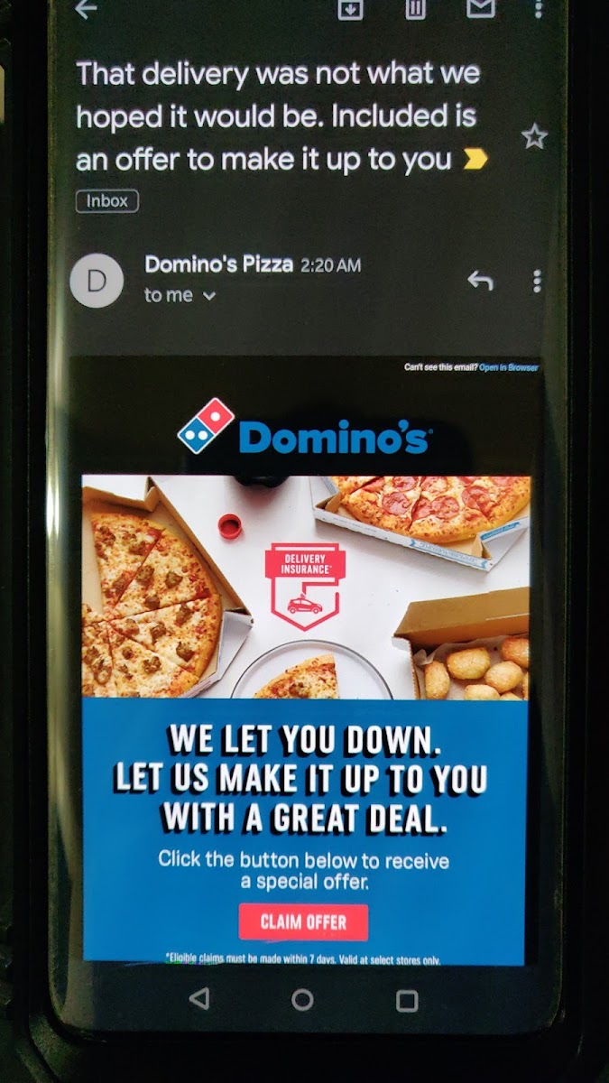Domino's Pizza Photo Menu 2