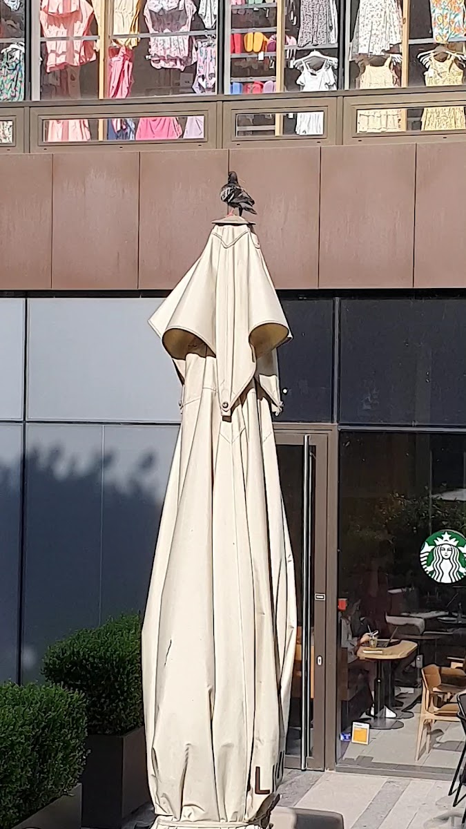 Starbucks Photo 2