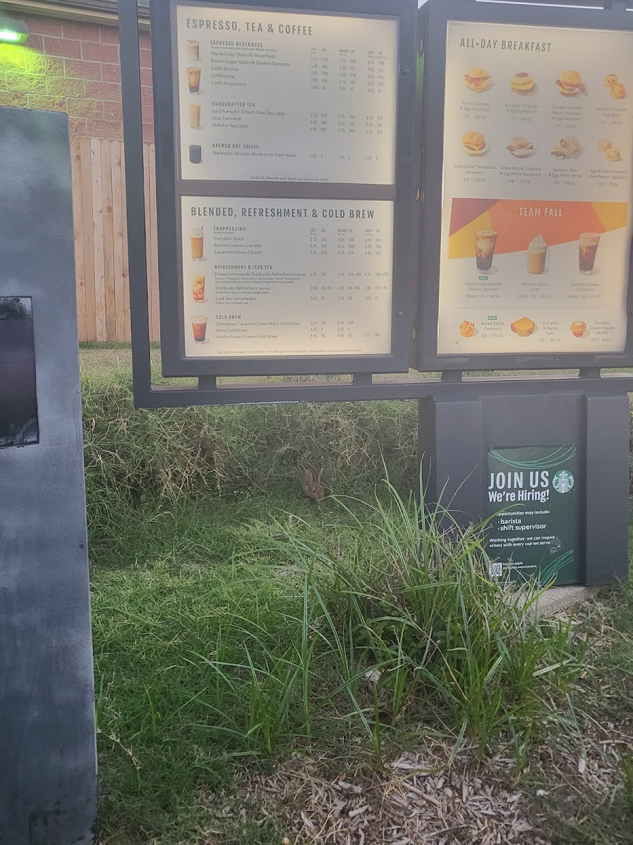 Starbucks Photo Menu 1
