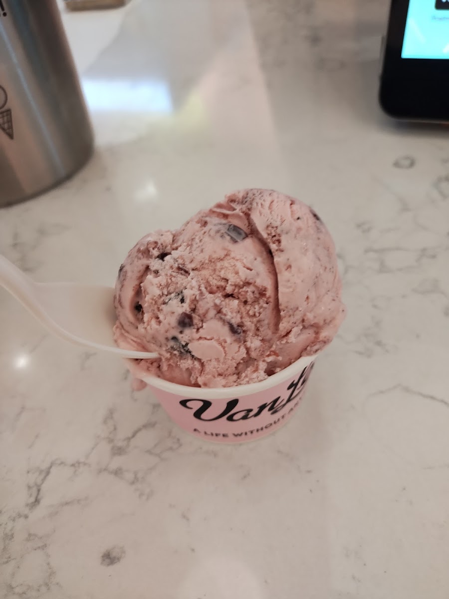 Van Leeuwen Ice Cream Photo 9