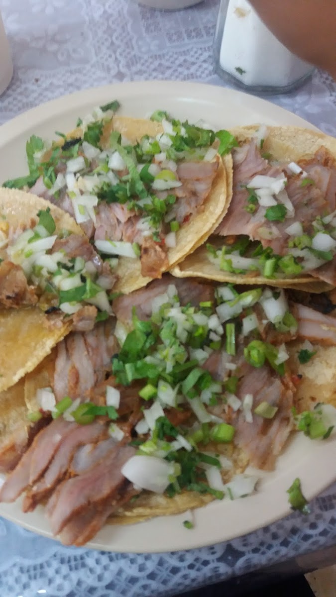 Taquería regis Photo 5