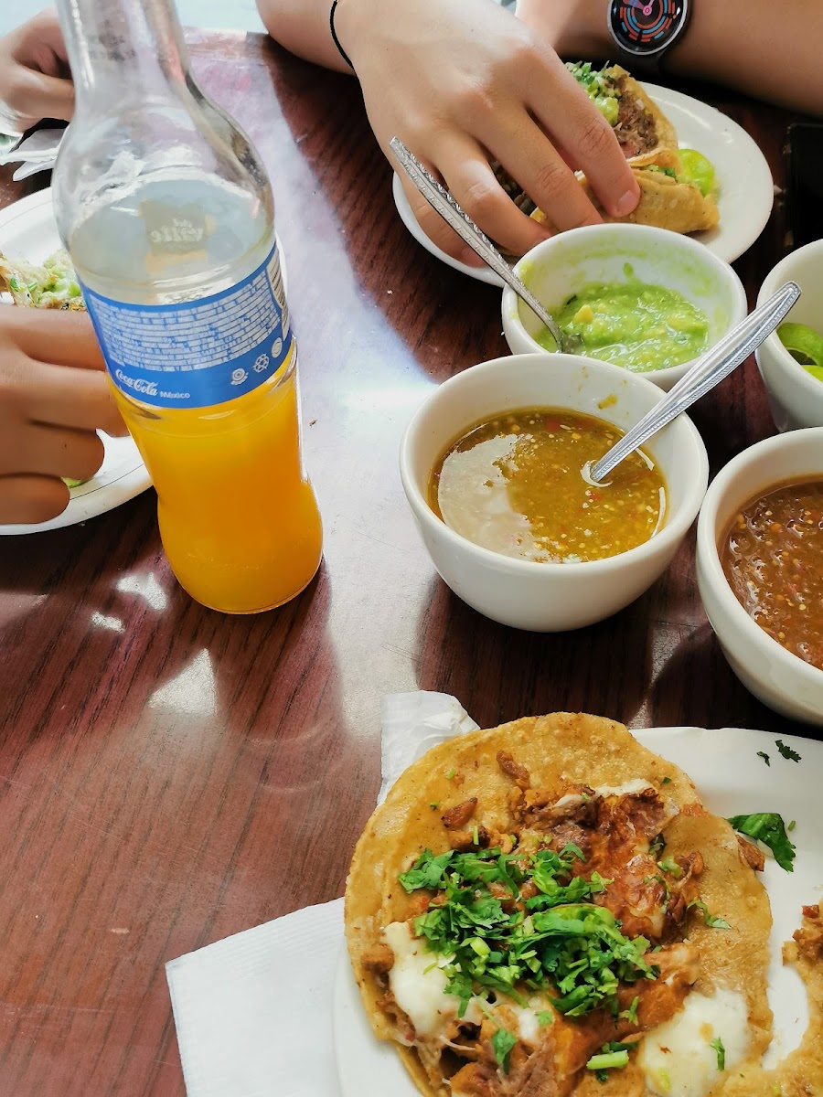 Taquería regis Photo 6