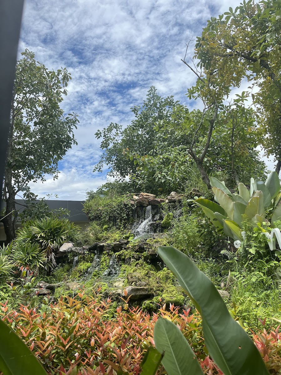 Café Amazon Photo 3