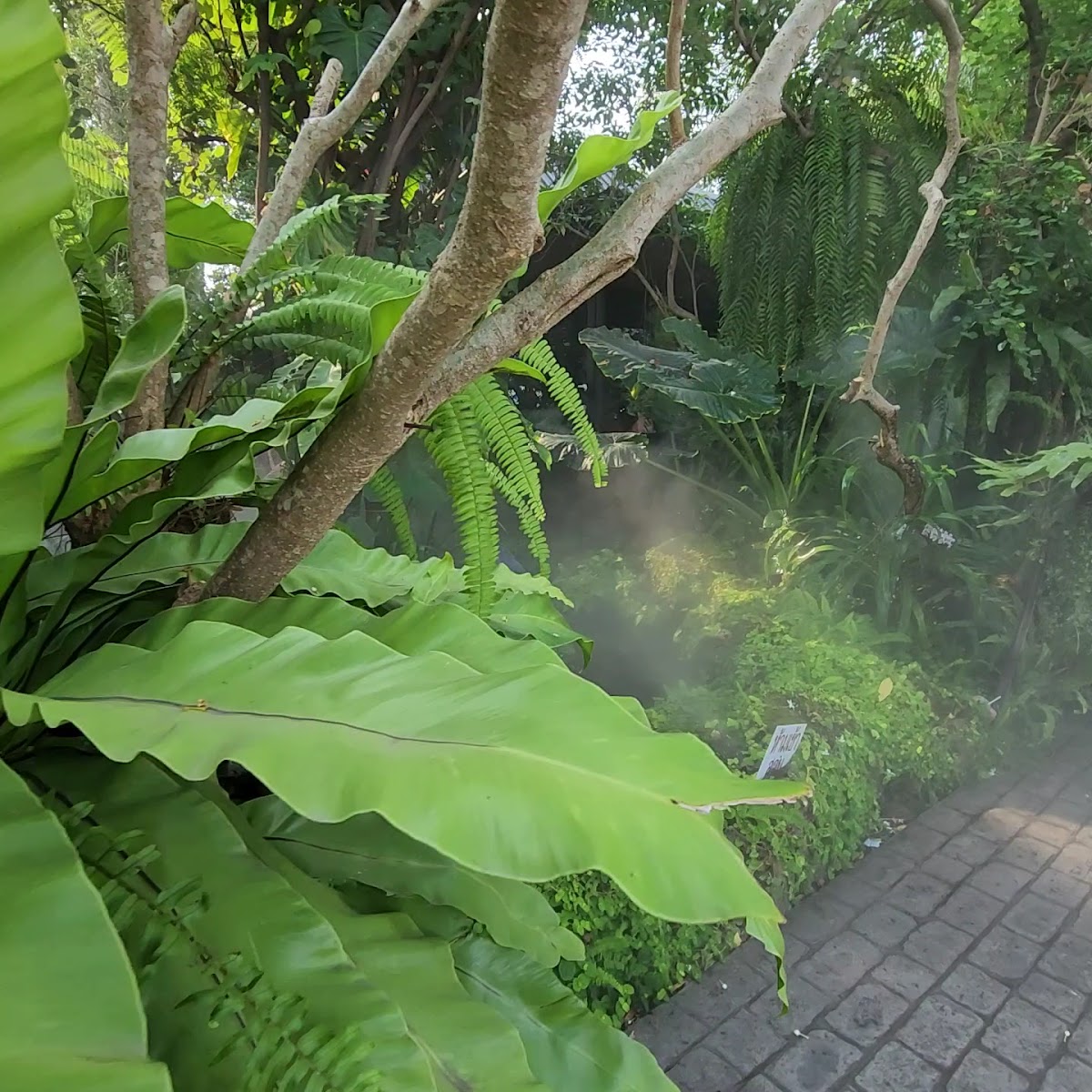Café Amazon Photo 2