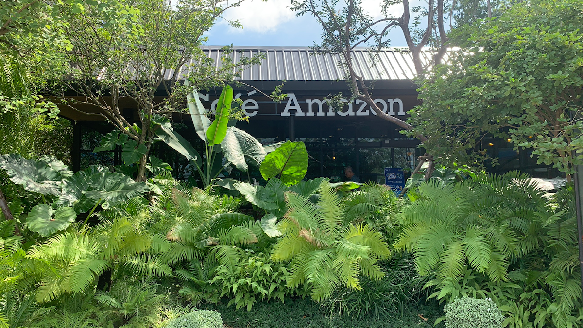 Café Amazon Photo 4