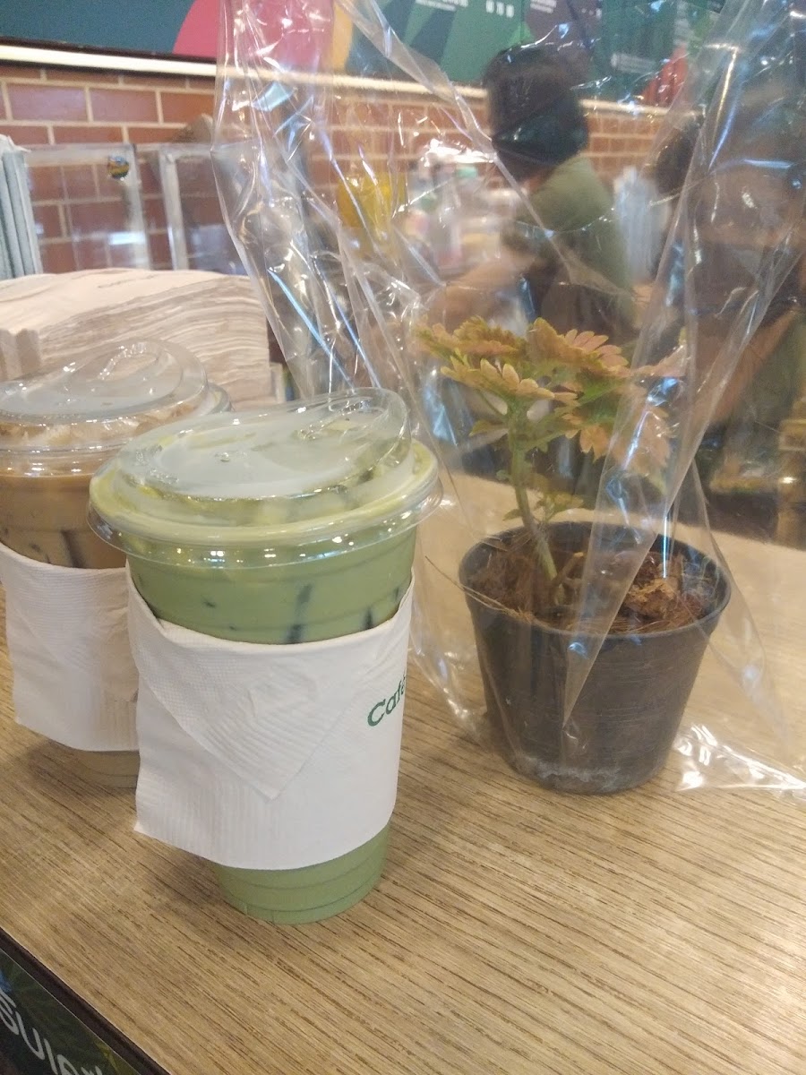 Café Amazon Photo 9