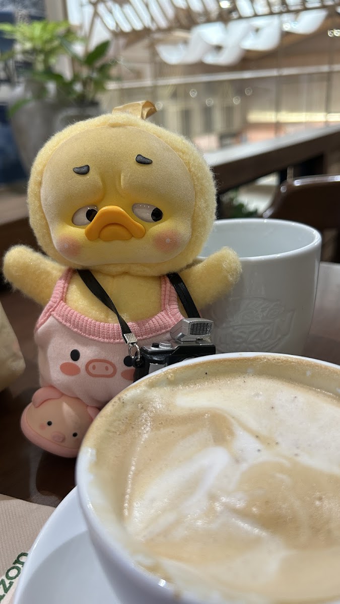 Café Amazon Photo 5
