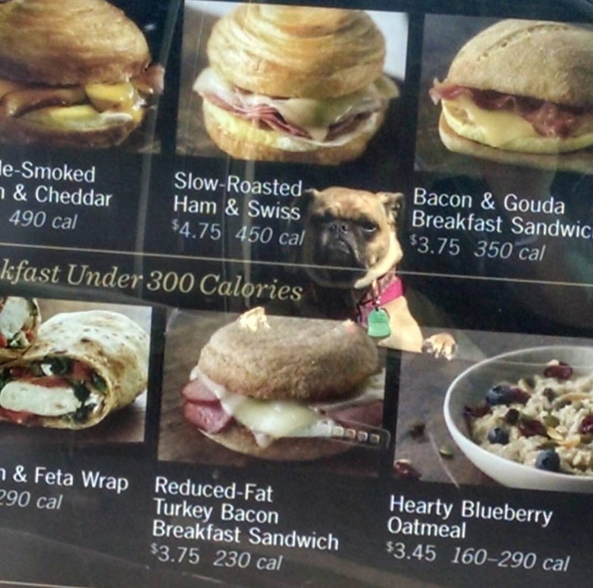 Starbucks Photo Menu 1