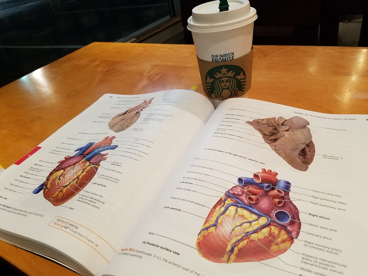 Starbucks Photo Menu 4