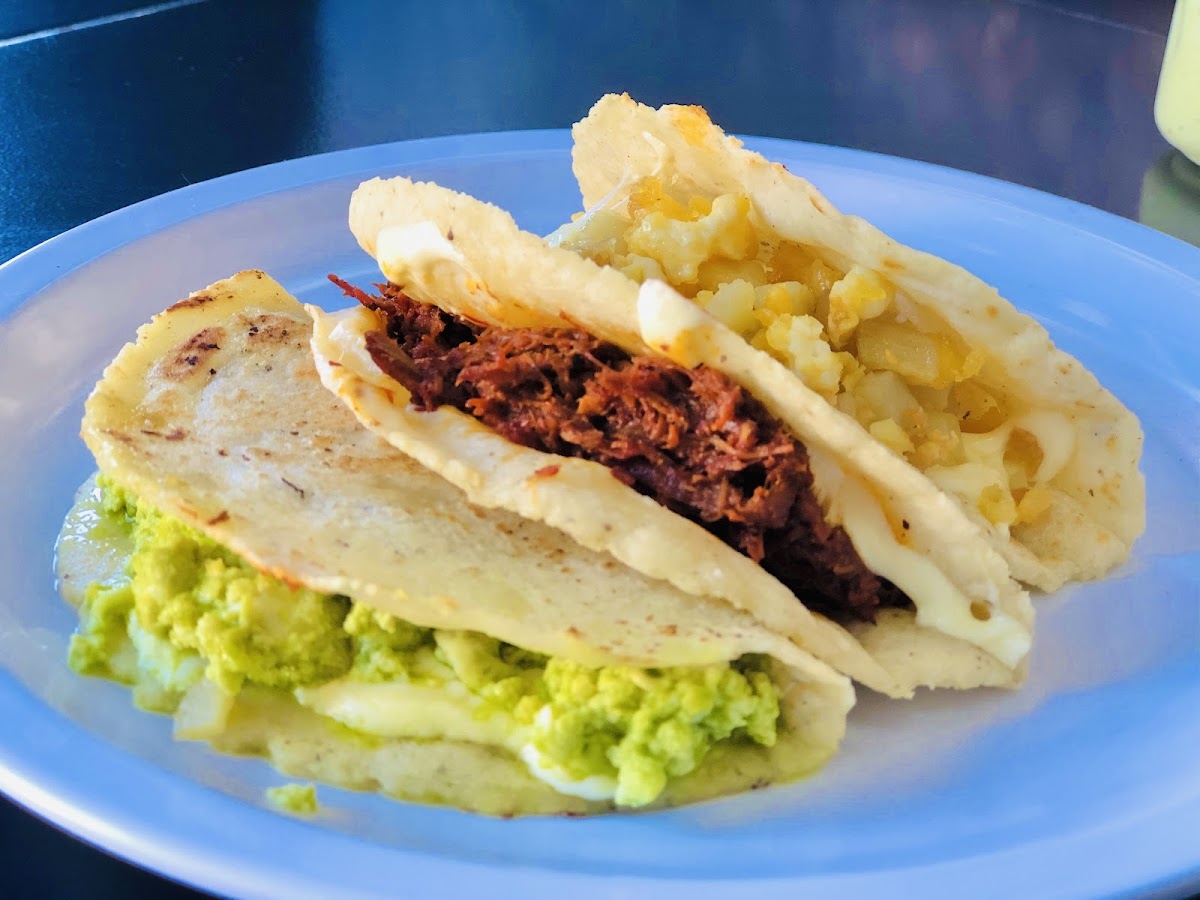 Los Bocoles de Tampico Photo 4