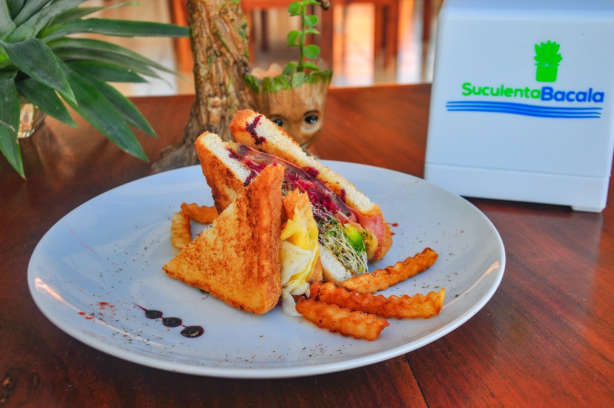 Suculenta Bacalar Photo 3