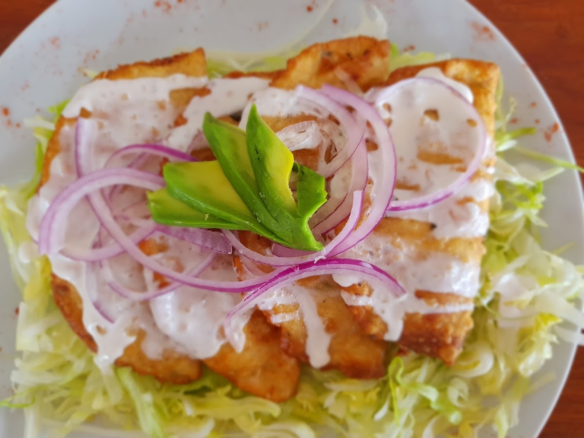 Suculenta Bacalar Photo 6
