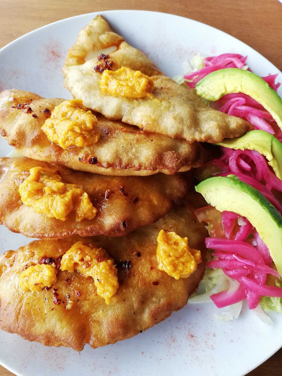 Suculenta Bacalar Photo 8
