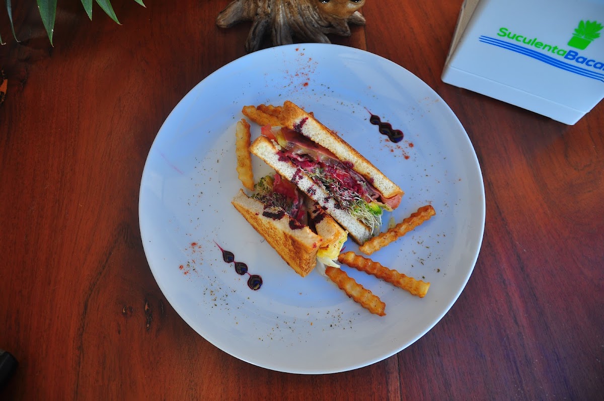 Suculenta Bacalar Photo 9