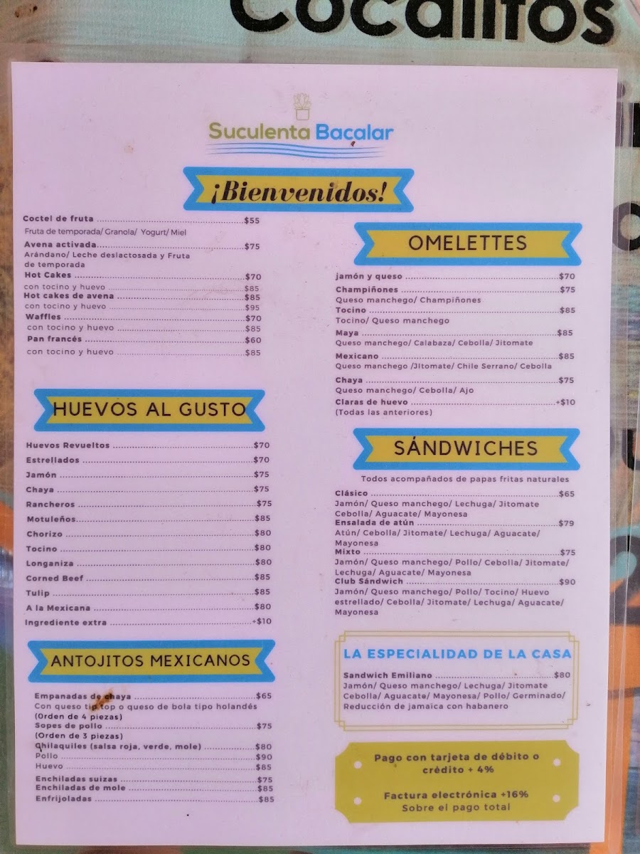 Suculenta Bacalar Photo Menu 6