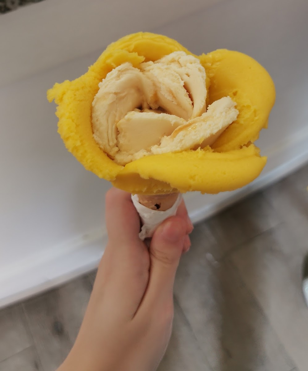 Gelateria K2 Photo 10