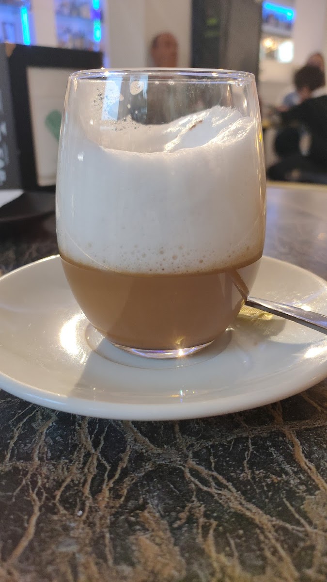 Café Suizo Photo 8