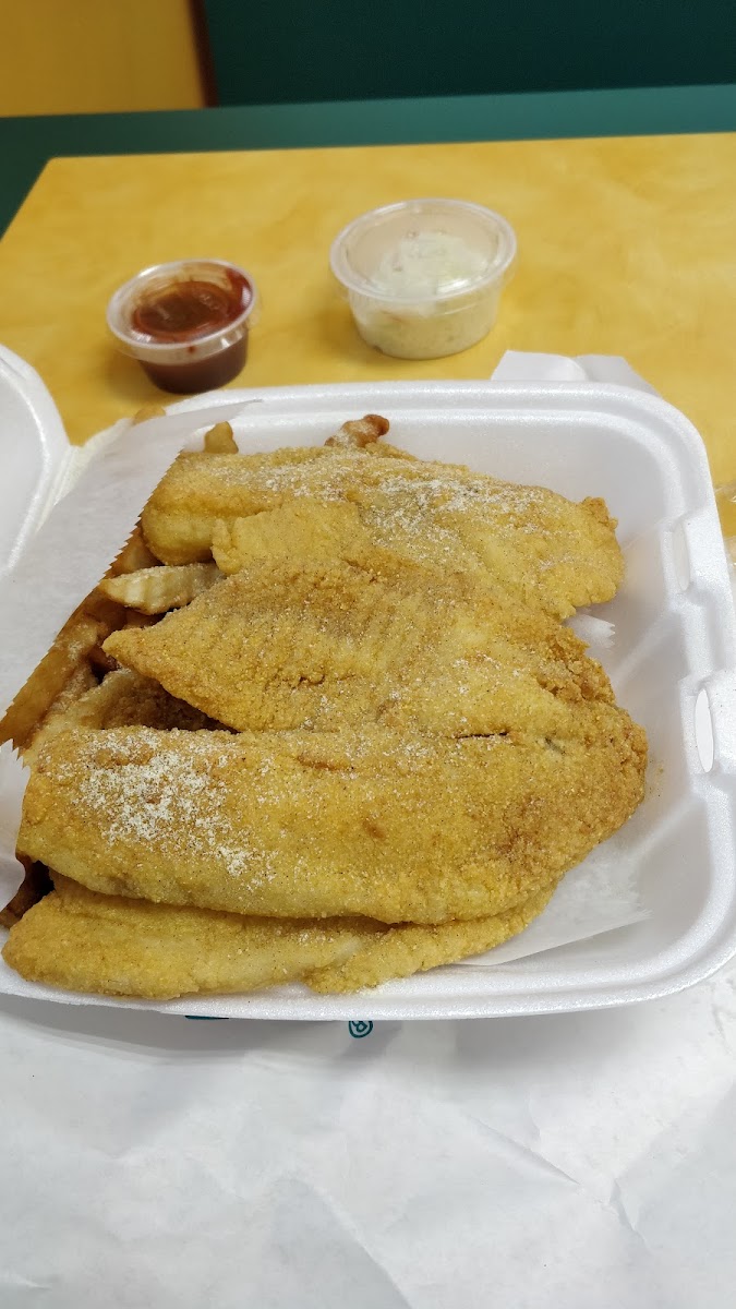 Sharks Fish & Chicken Photo 4