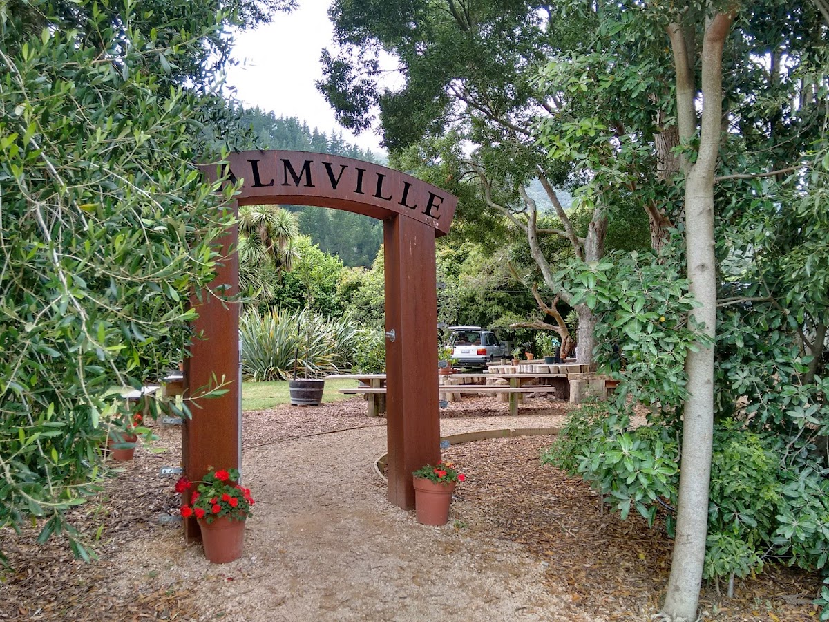 Palmville Coffee Co Photo 2