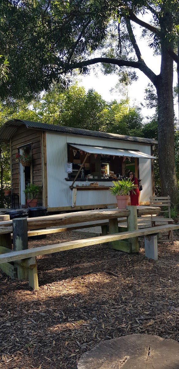 Palmville Coffee Co Photo 3