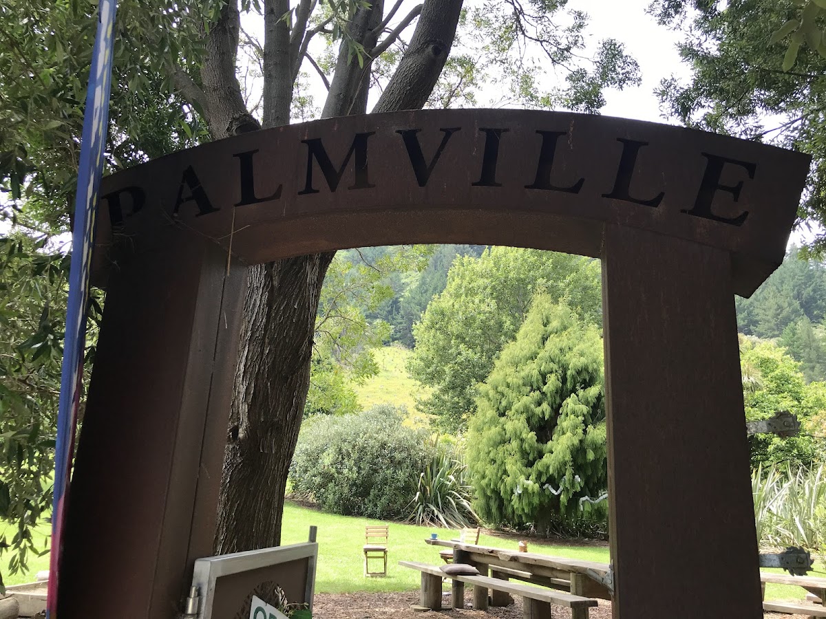 Palmville Coffee Co Photo 4