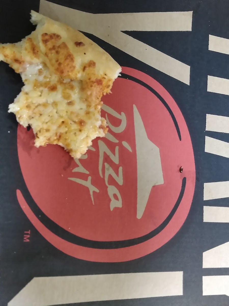 Pizza Hut Photo 5