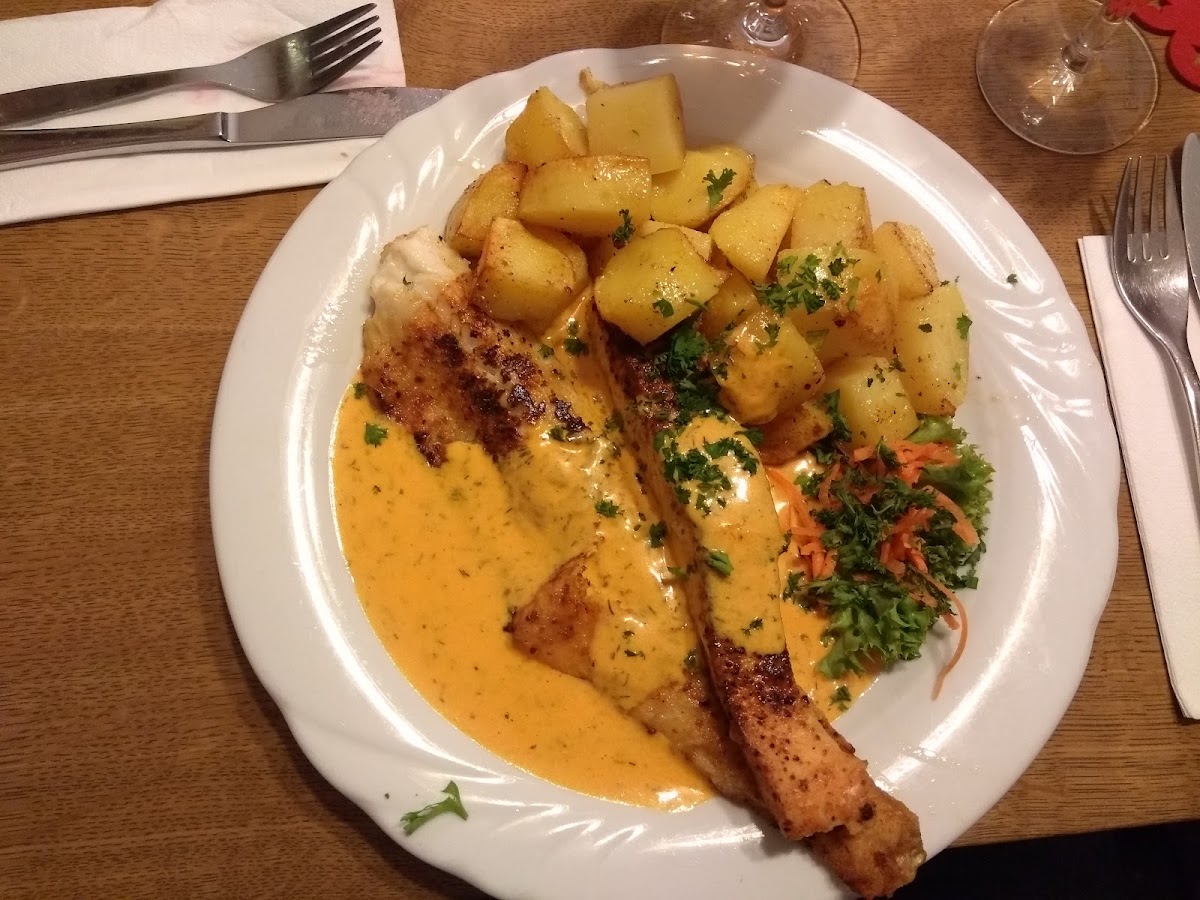 Krone Photo 6