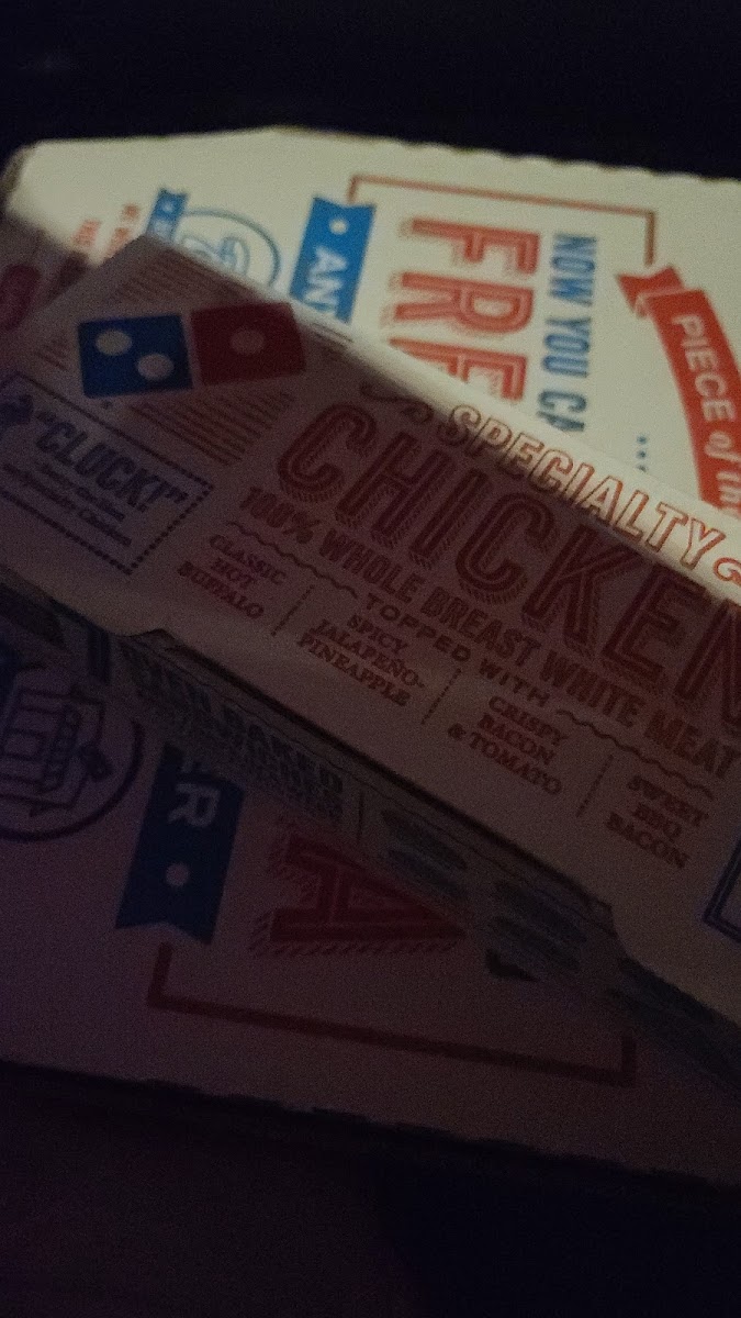 Domino's Pizza Photo Menu 2