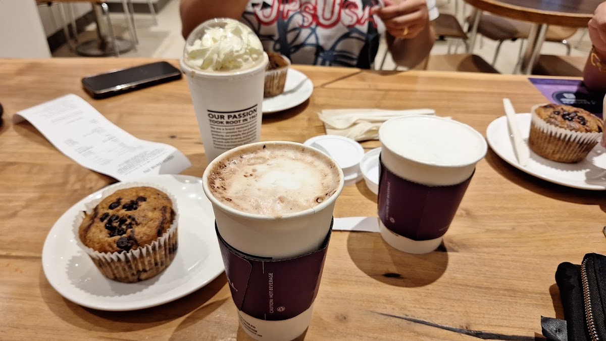The Coffee Bean & Tea Leaf Photo 4
