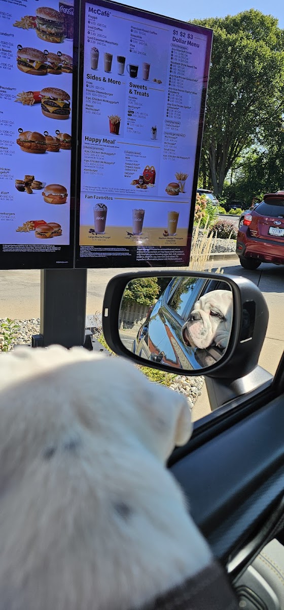 McDonald's Photo Menu 2