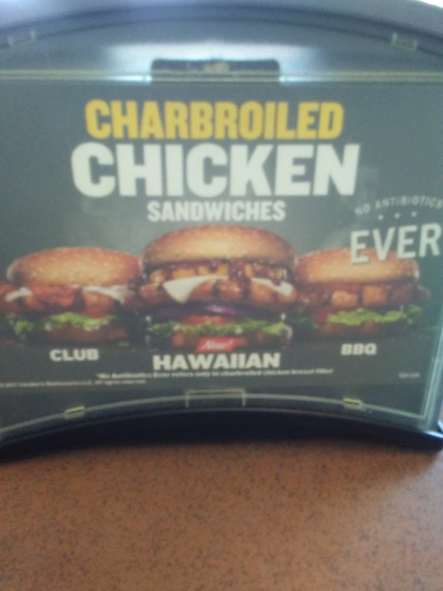 Hardee's Photo Menu 4