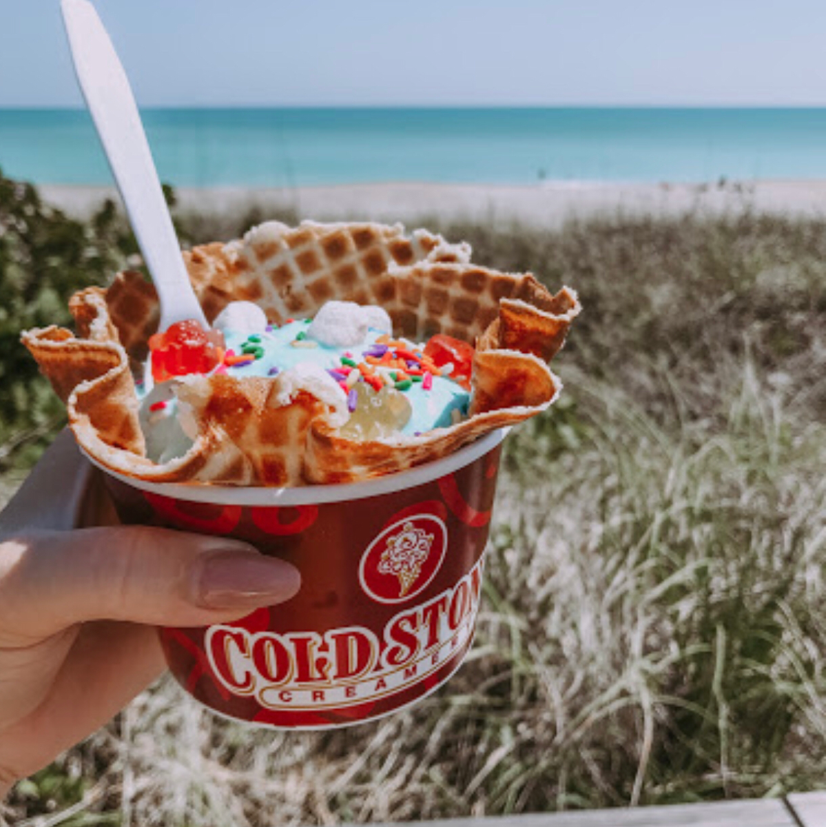 Cold Stone Creamery Photo 8