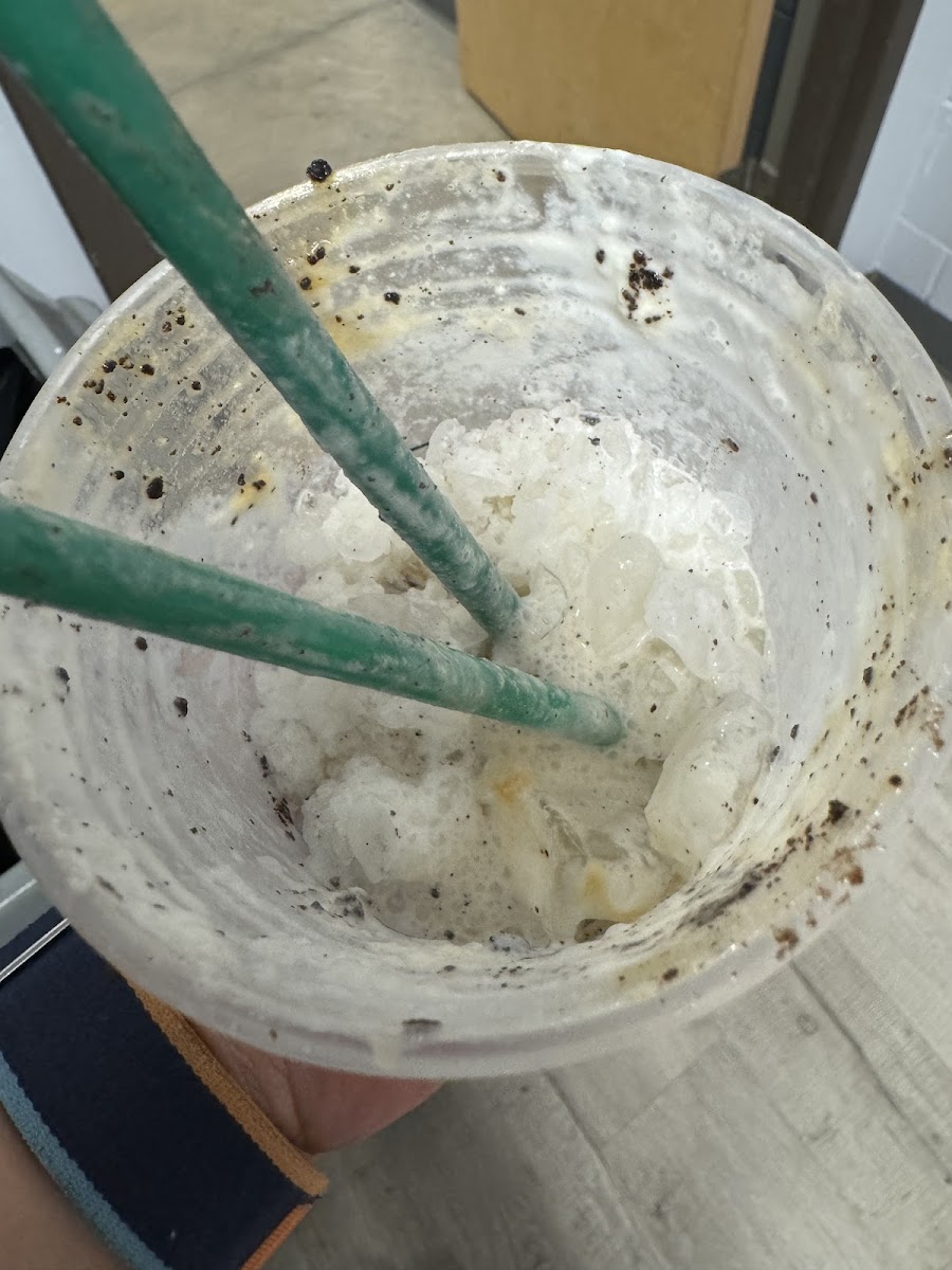 Starbucks Photo 8