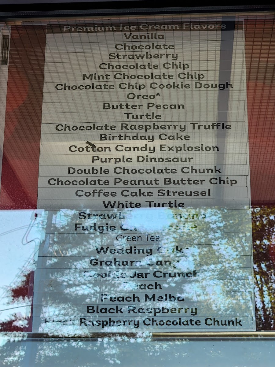 Bruster's Real Ice Cream Photo Menu 4