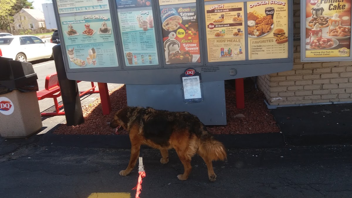 Dairy Queen Grill & Chill Photo Menu 5