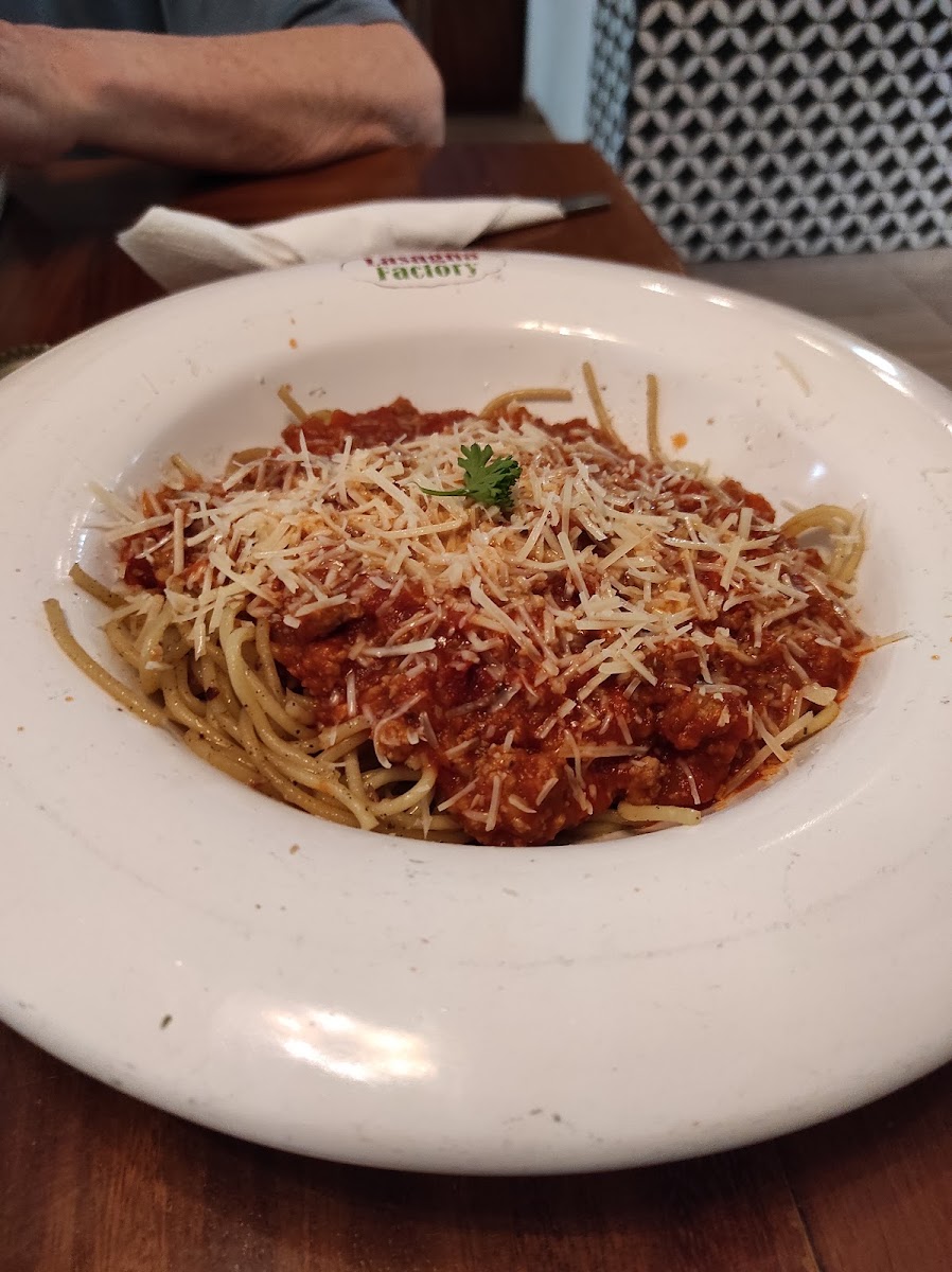 Lasagna Factory Photo 9