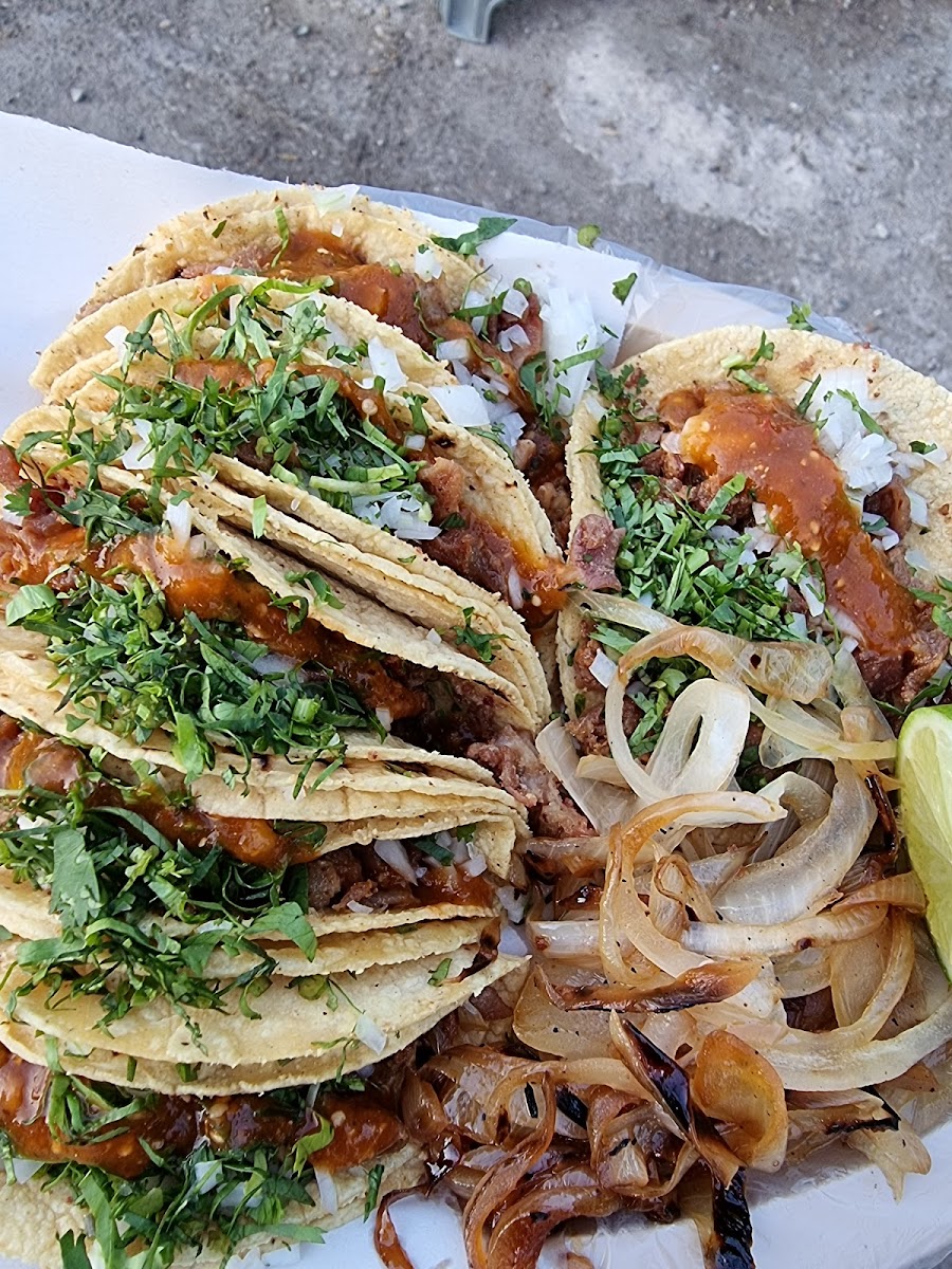 Tacos La Capilla Photo 6