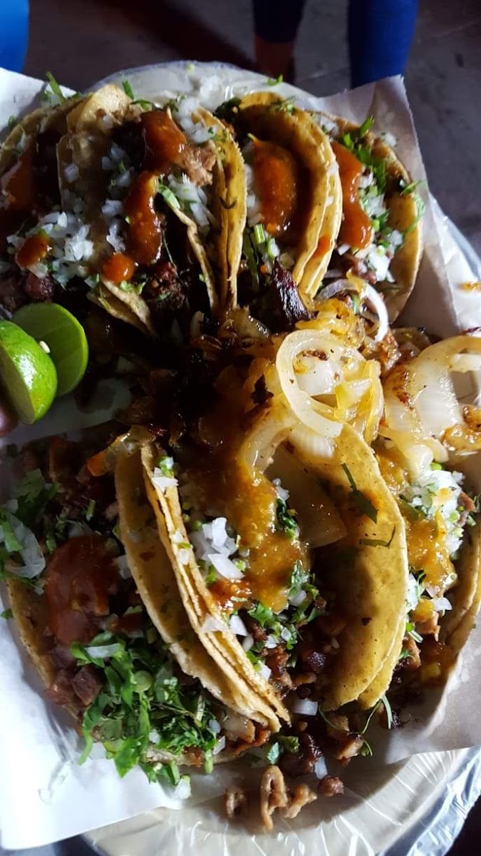Tacos La Capilla Photo 8
