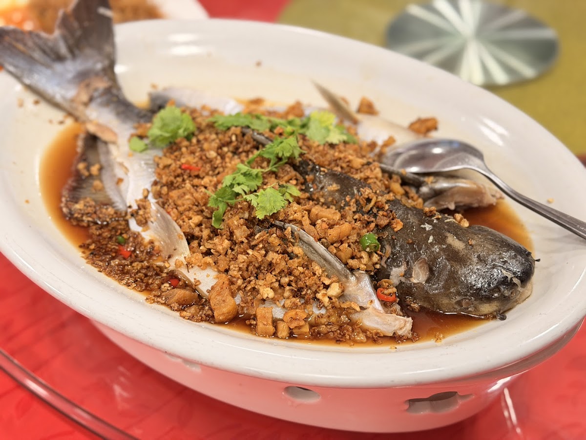 贤味馆 Yinlau Restaurant Photo 4