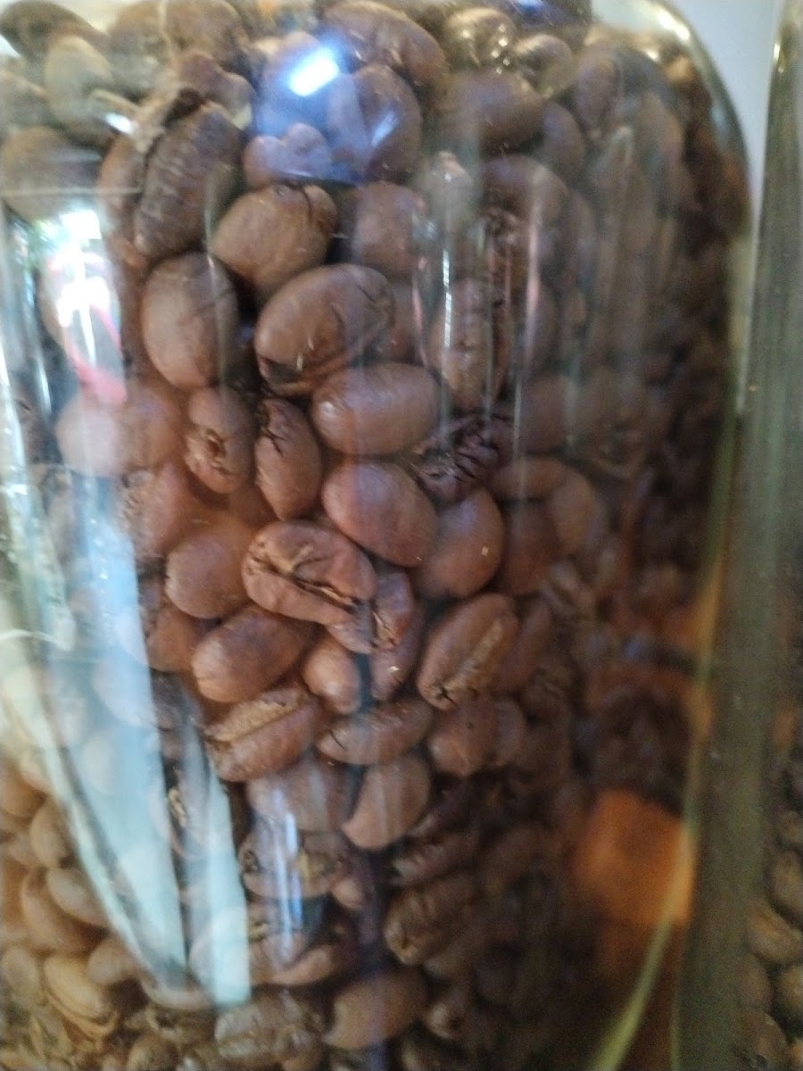 The Coffee Bean & Tea Leaf Photo 8