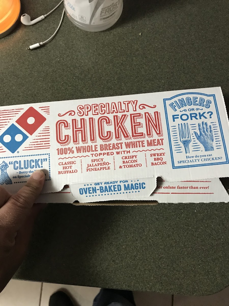 Domino's Pizza Photo Menu 3