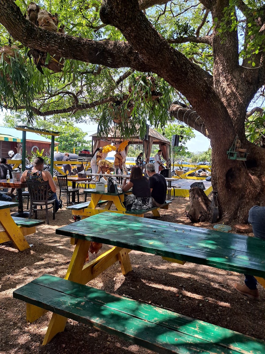 RANCHO VIEJO Photo 4
