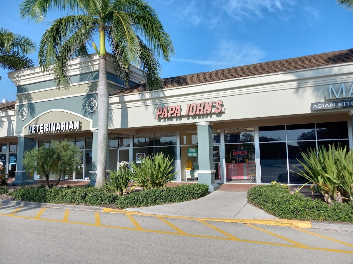 Papa Johns Pizza