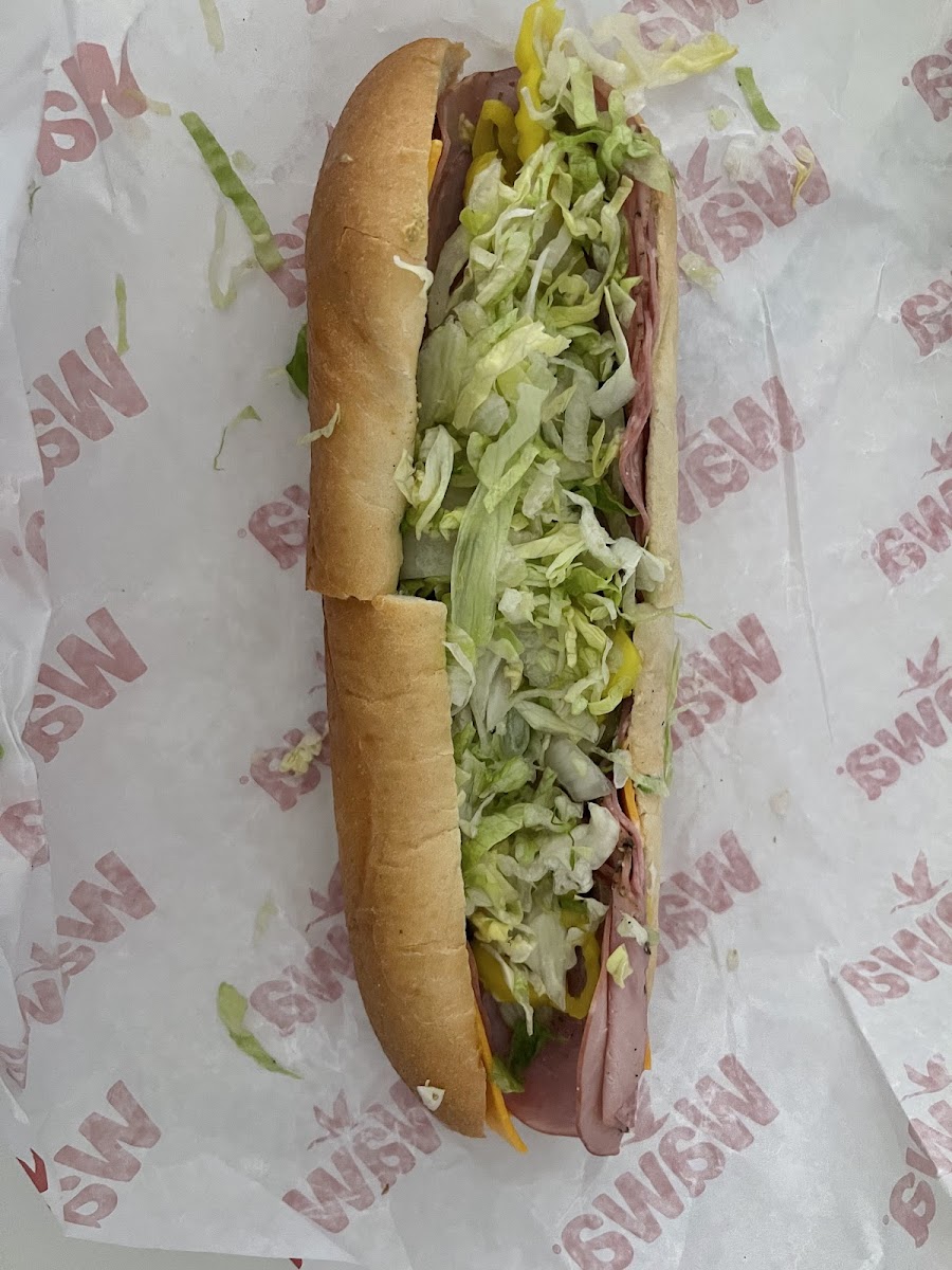 Wawa Photo 4