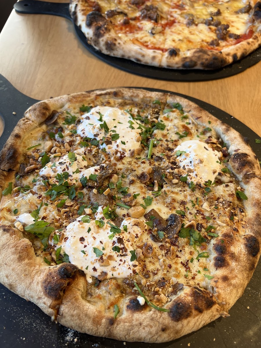 Pizza cosy Photo 5