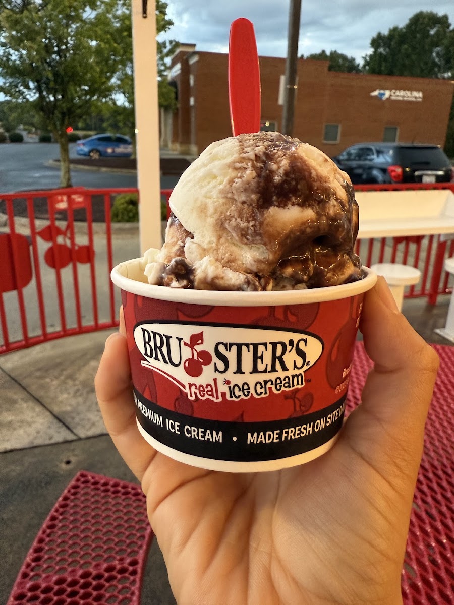 Bruster's Real Ice Cream Photo 4