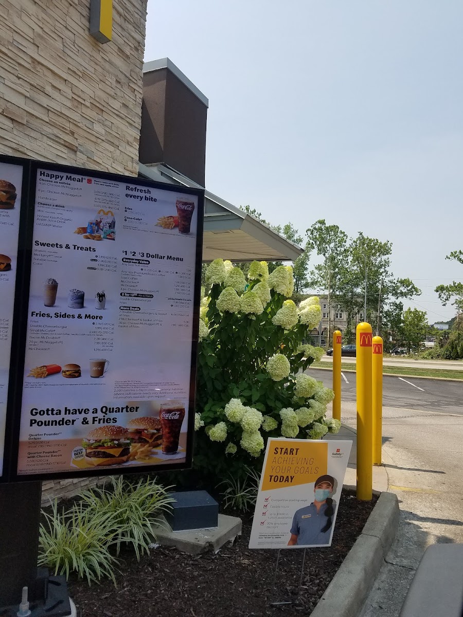 McDonald's Photo Menu 3