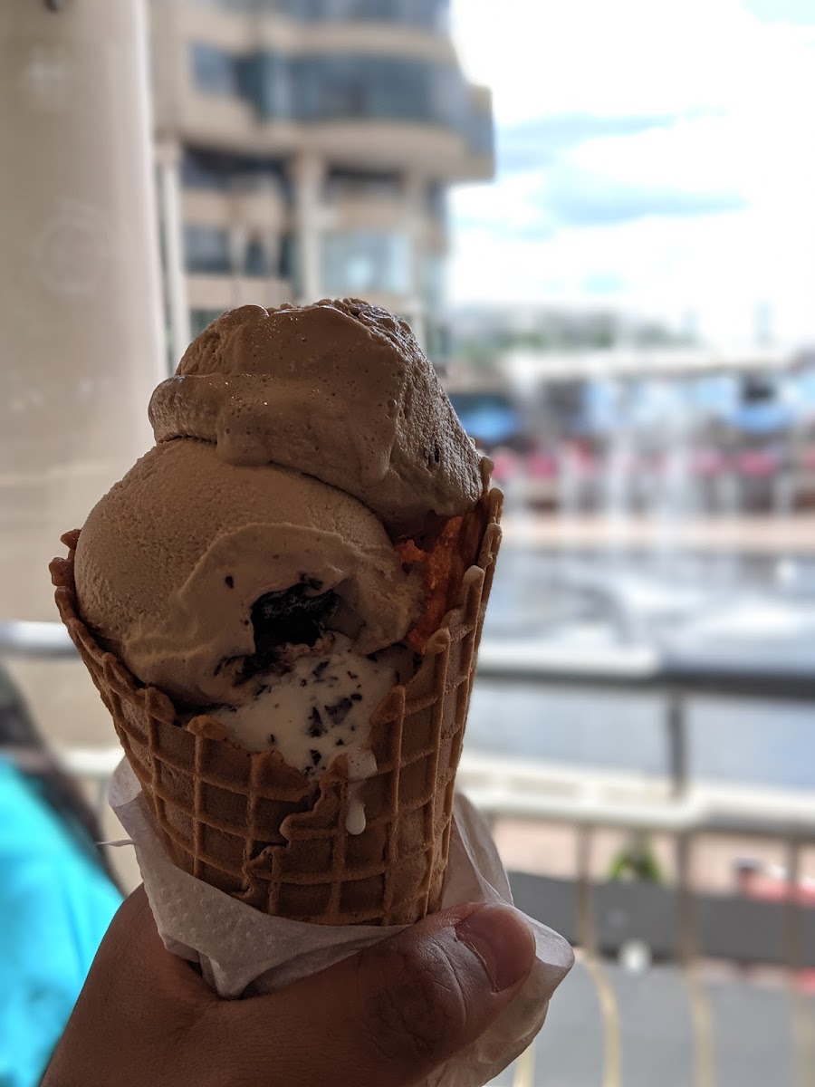 Gelateria Dolce Vita Photo 10