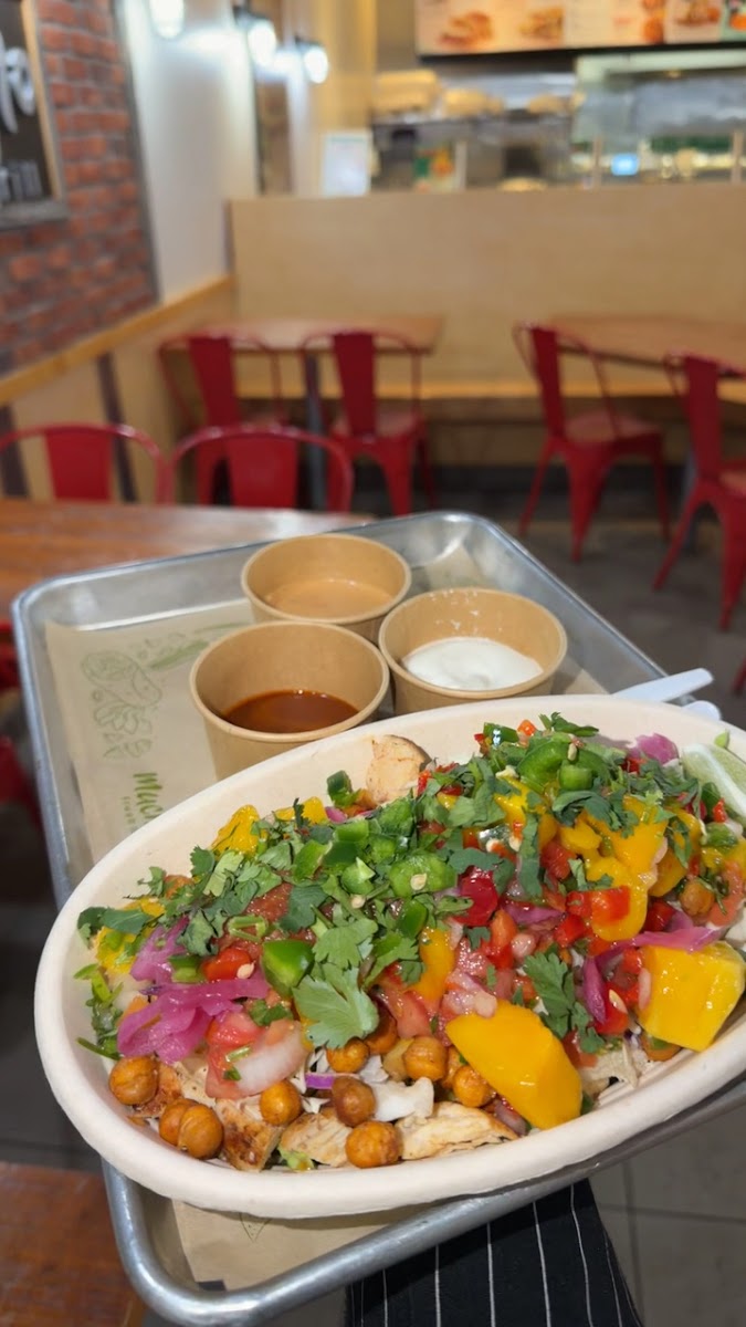 Mucho Burrito Fresh Mexican Grill Photo 2